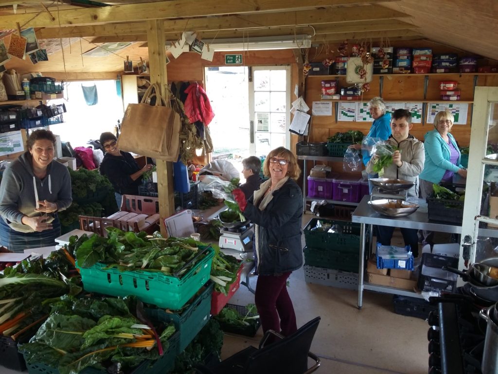 Veg Shed packing
