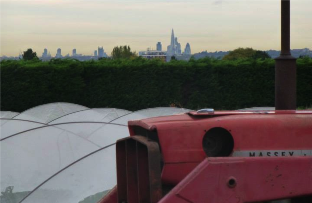 London skyline from Sutton Community Farm